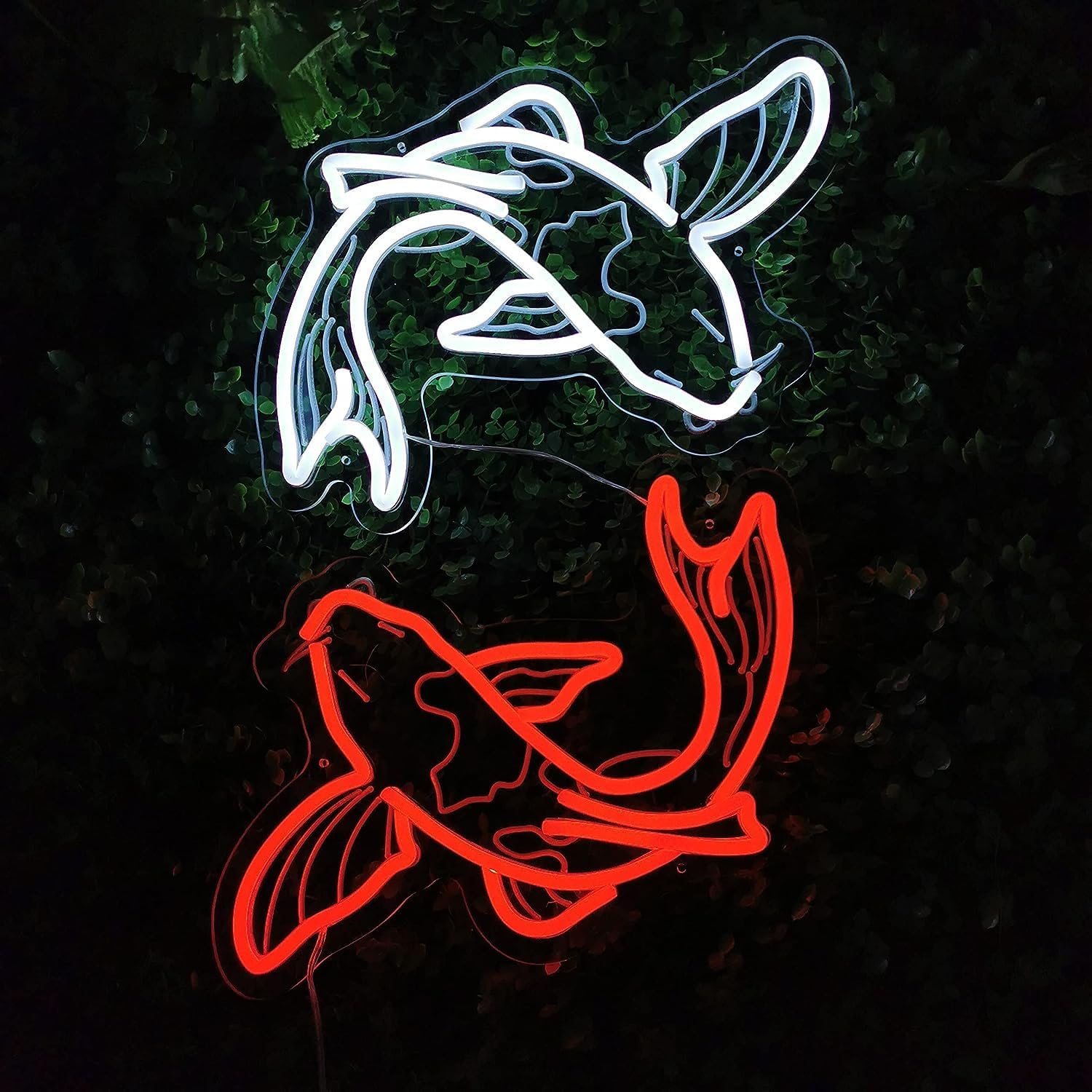لافتة نيون على شكل سمكة الكوي، - مراجعة Japanese Lighting Decor وسعره